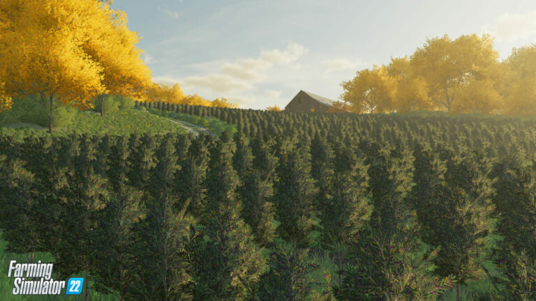 Farming Simulator 22 new crops