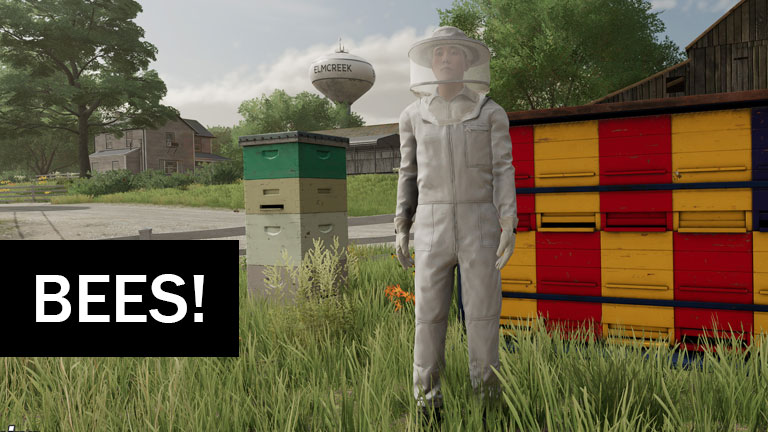Bees, Bees, Bees!