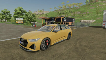 2020 Audi RS6 Avant v 1.0