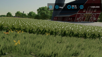 Freeze Time v 1.0