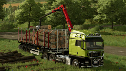 MAN TGX Forest Truck v 1.0