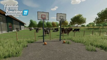 Basketball Set v 1.0