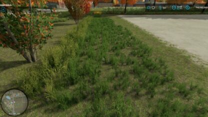 Grass in all States for Painting v 1.0