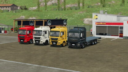 MAN TGX 26.640 Platform v 1.0
