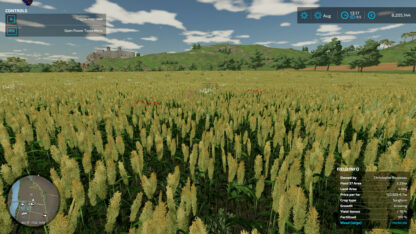 Additional Field Info v 1.0.1.0