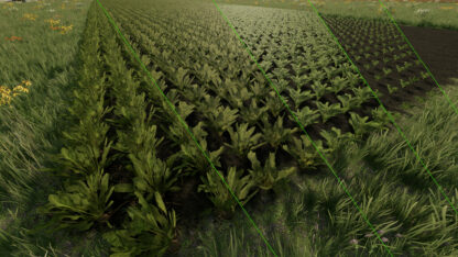 Grow Now v 1.0.5.1