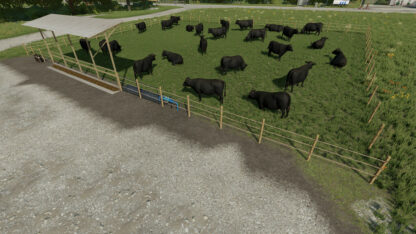 Outdoor Pastures v 1.0 ⋆ FS22 mods