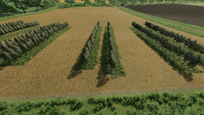 Variable Olivevine Widths v 1.0