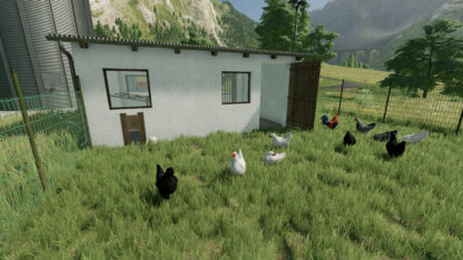 Small Chicken Barn v 1.0