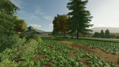 The Romboz Road Map v 1.1