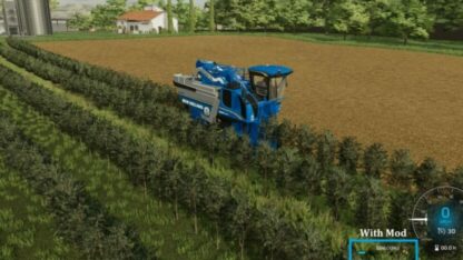 More Olive v 1.0