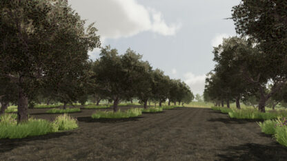 Olives + Olive Picker v 1.0