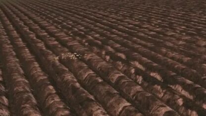 Plow Texture v 1.0