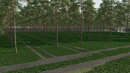 The Plantation Map v 1.0