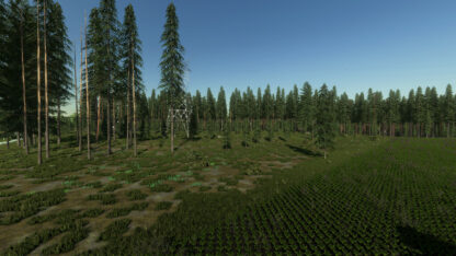 Wild River Forest Map v 1.0