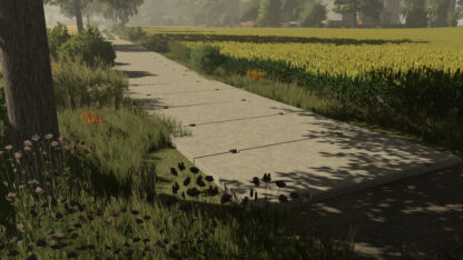 Concrete Slabs v 1.0