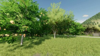 Fruit Orchard v 2.0.0.1