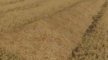 New Straw Texture v 1.0