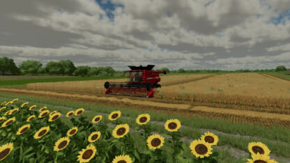 Beware of Straw v 1.0.1.1