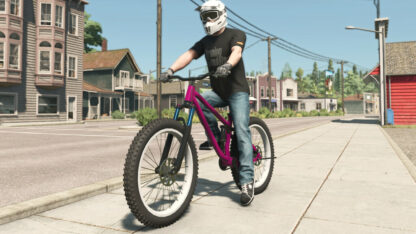 Lizard Mountain Bike v 1.0