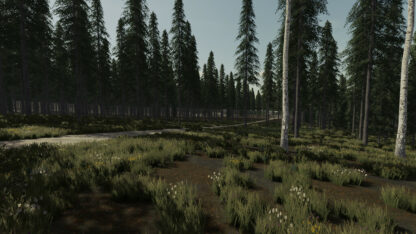 Ocean Side Forest Map v 1.0
