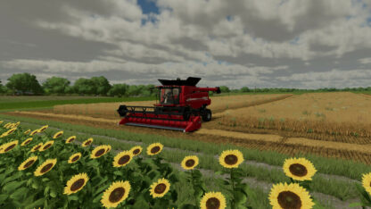 Beware of Straw v 1.0.1.2