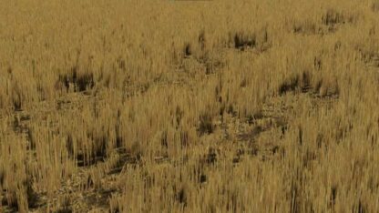High Wheat Stubble with Compaction v 1.0