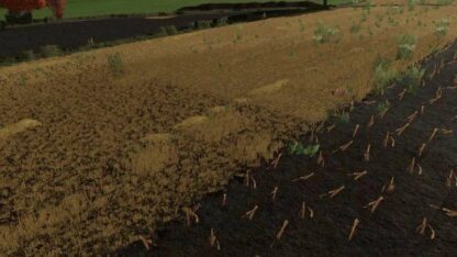 Texture of Manure on Stubble v 1.0