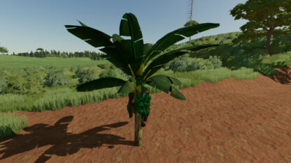 Banana Tree v 1.0