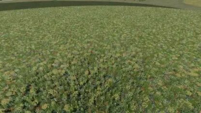 Flowering Cover Crop (Prefab) v 1.0