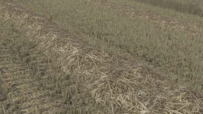 Straw Texture v 1.0