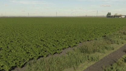Sugarbeet Textures v 1.0