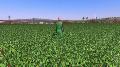 Ultra Real Soy Texture v 1.0