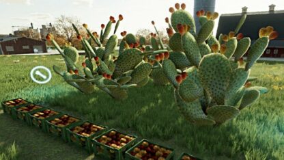 Prickly Pear Cactus v 1.0