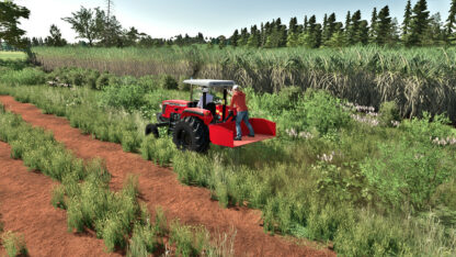 Rear Platform v 1.0