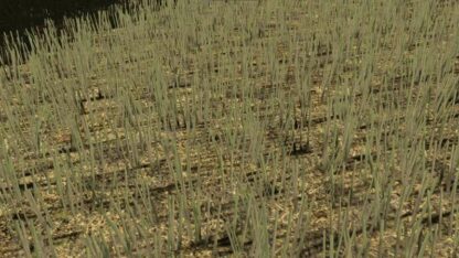 Chopped Rapeseed Texture v 1.0
