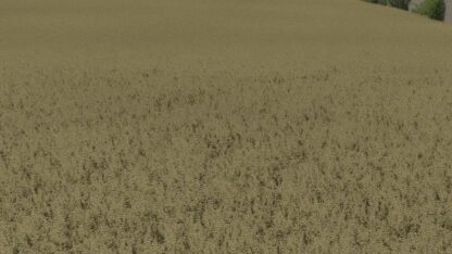 Oat Texture v 1.0
