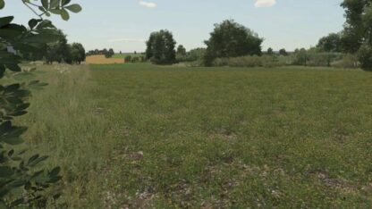 Oil Seed Radish Texture v 1.0