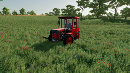 Lizard Kastrnka v 1.1