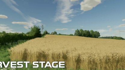 Oat Crop Textures v 1.0