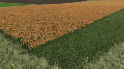 New Sorghum Texture ready for harvest v 1.0