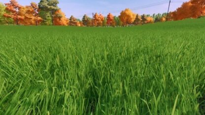 Grass Texture v 1.0