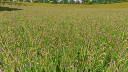 Grass Texture with Alfalfa v 1.0