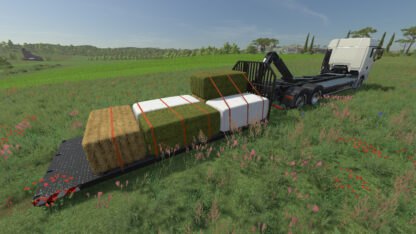 IT Runner Roll-off Platform AL v 1.0