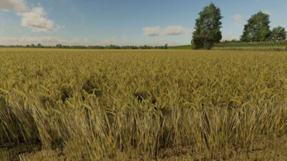 Wheat Texture v 1.0