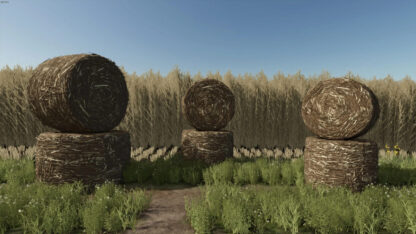 Bigger Biobales v 1.0