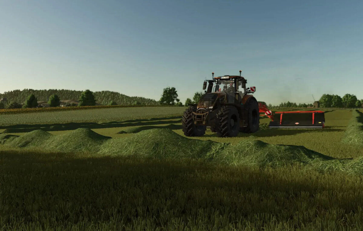 Grass Texture v 1.0