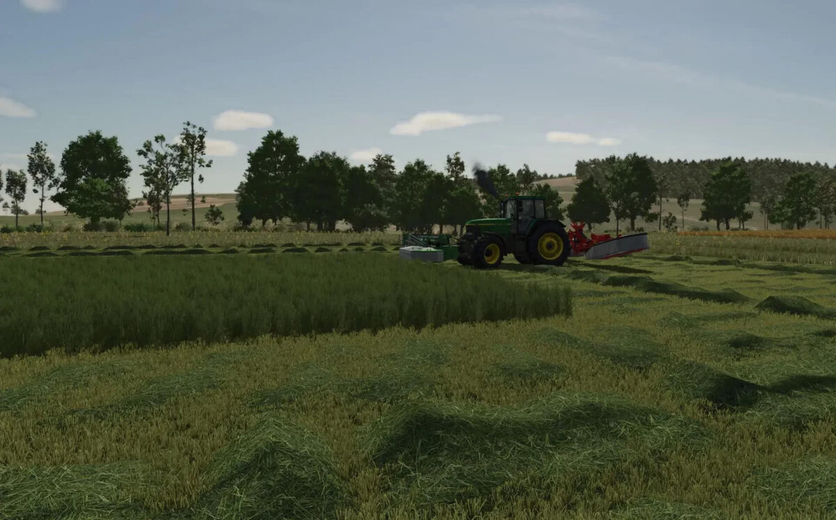 Grass Texture v 1.0