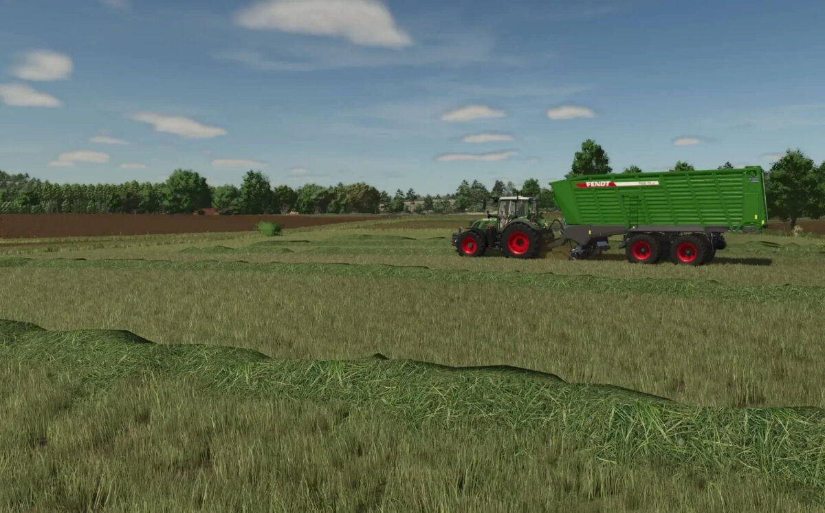 Grass Texture v 1.0