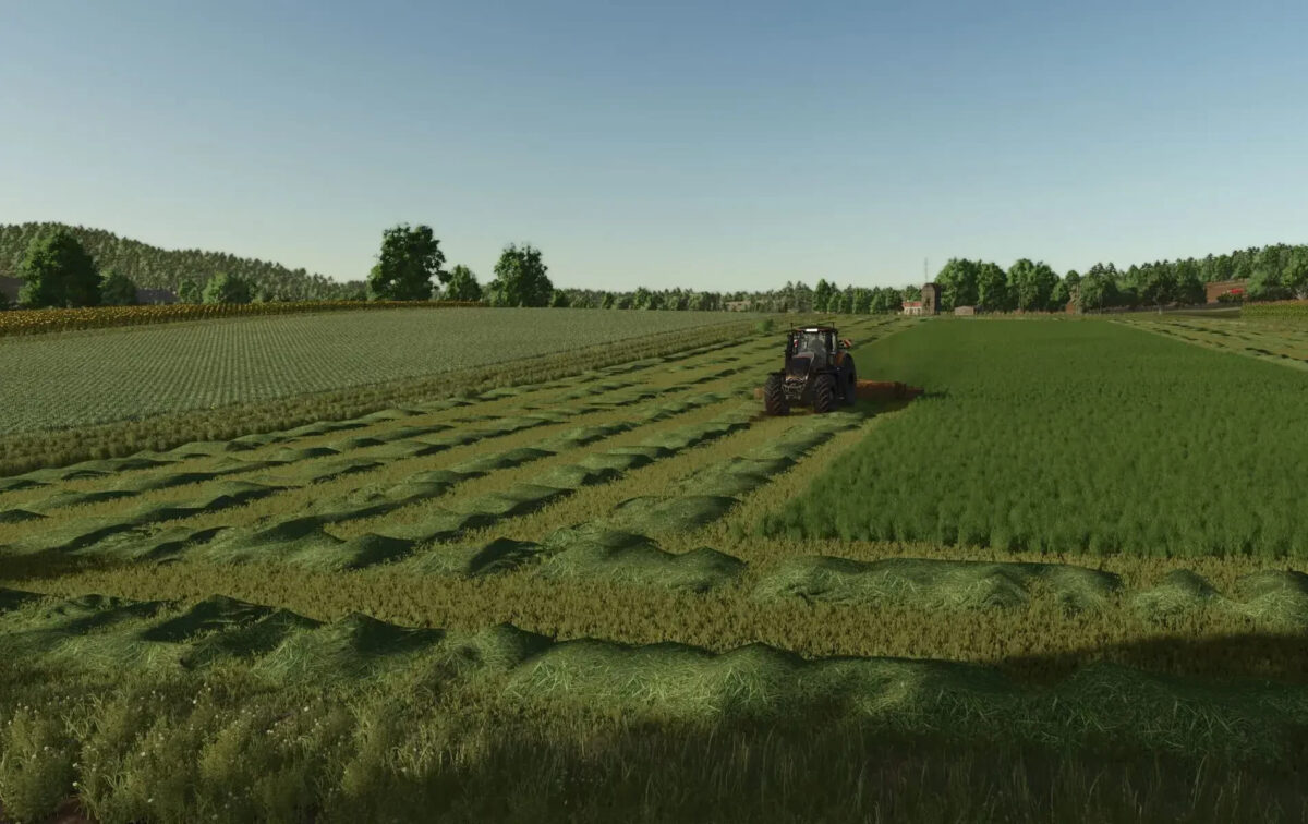 Grass Texture v 1.0